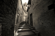 © Photo Andrea Magnani